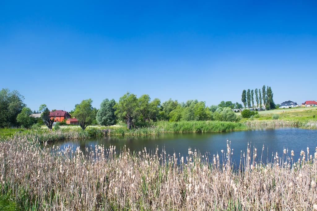 Zloty Staw Bed & Breakfast Borkowo  Luaran gambar